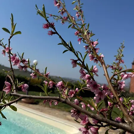 Agriturismo Ca d'Linet-3